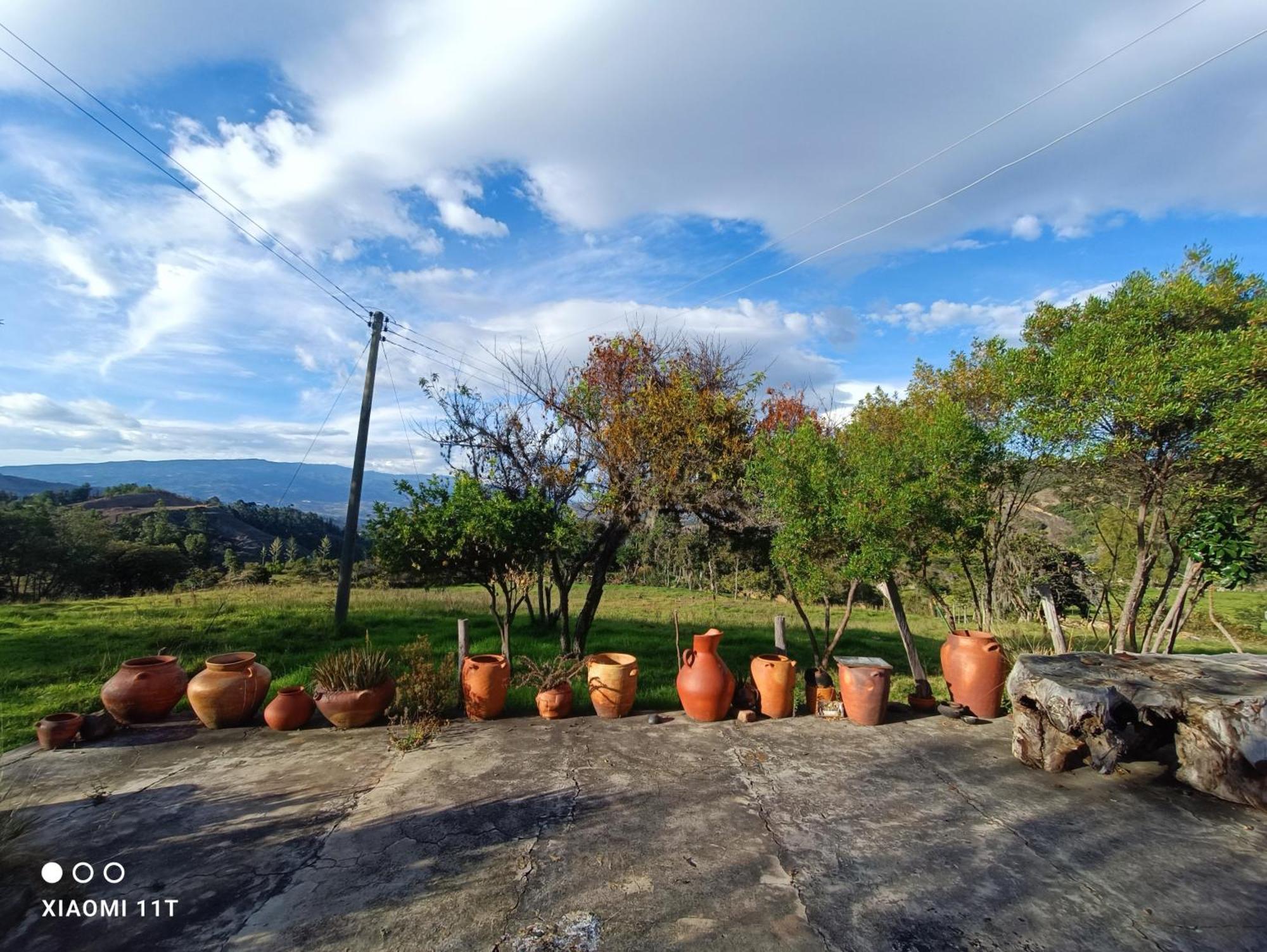 Casa Campestre Buenavista, Espacio Natural